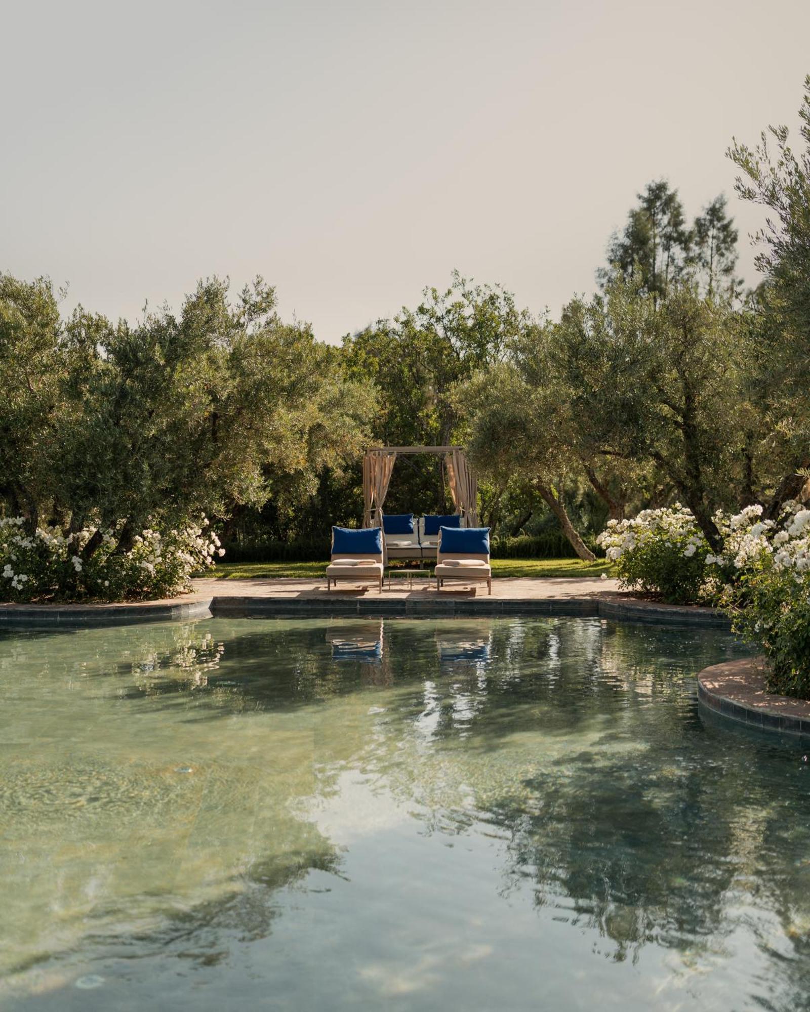 Olinto, Atlas Mountain Retreat - Adults Only Ouirgane Exterior foto