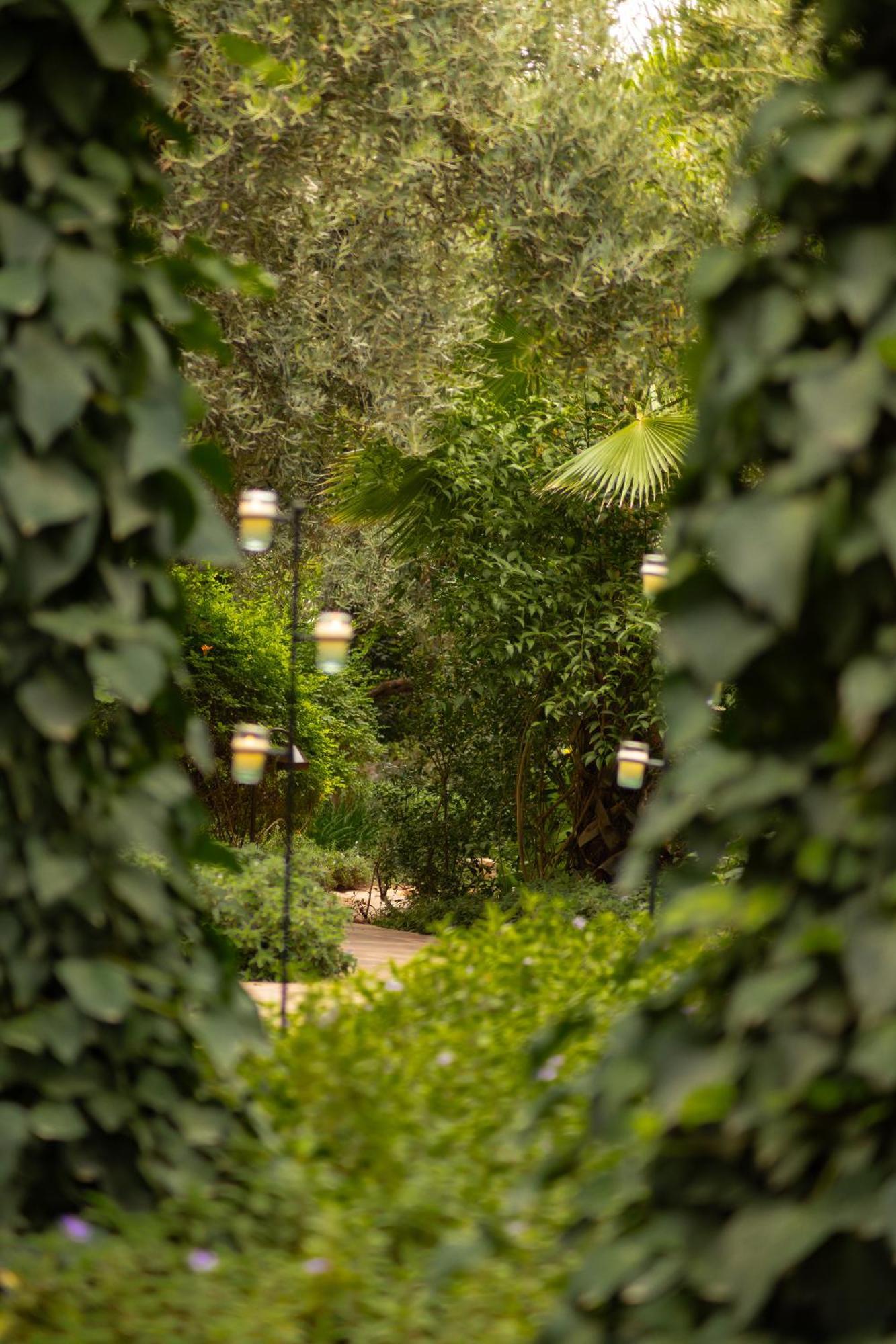 Olinto, Atlas Mountain Retreat - Adults Only Ouirgane Exterior foto